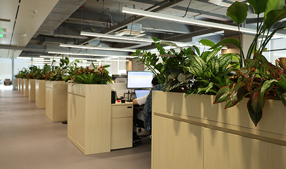 久青草无码视频在线观看第一苞