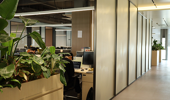 久青草无码视频在线观看第一苞